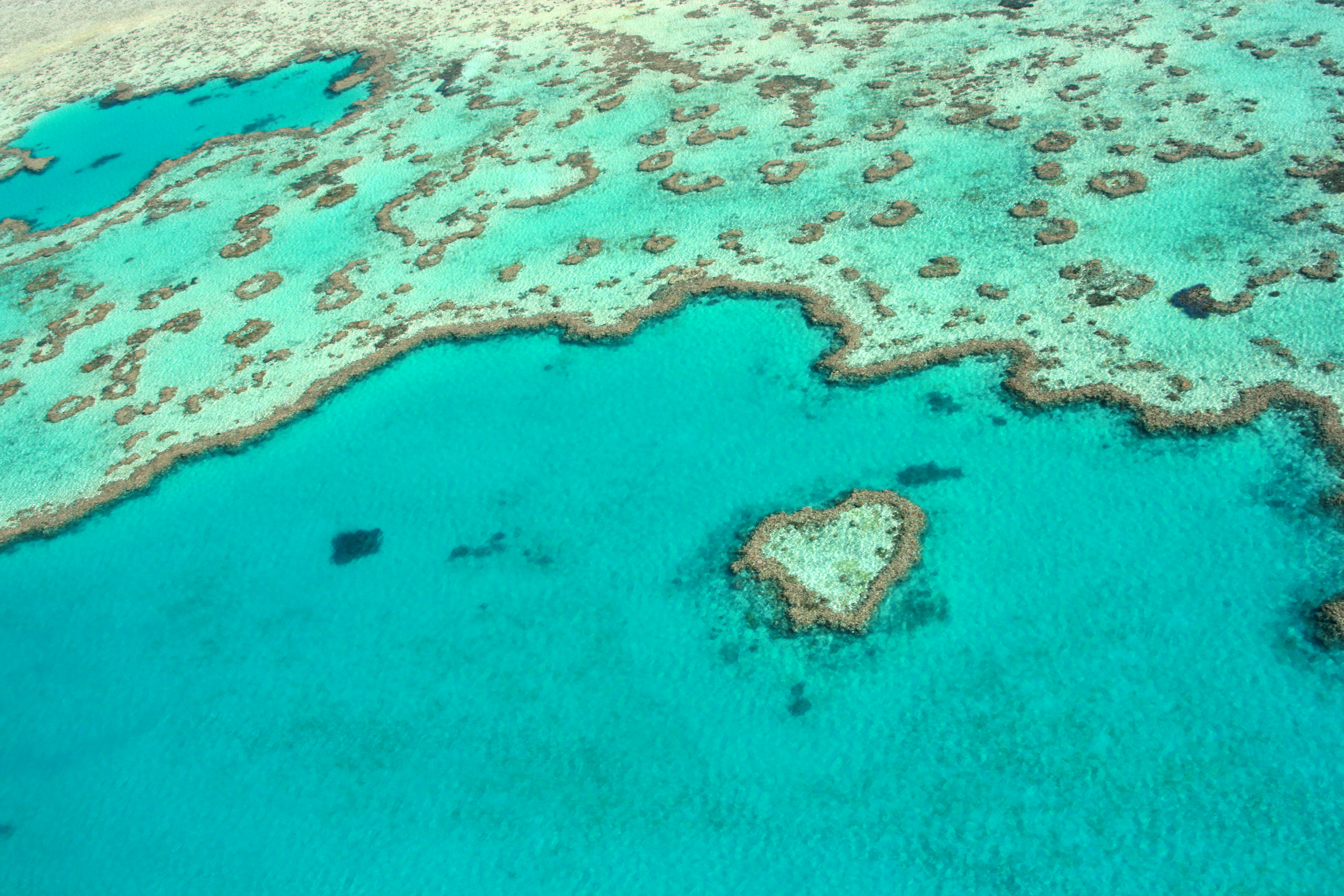 Heart Reef
