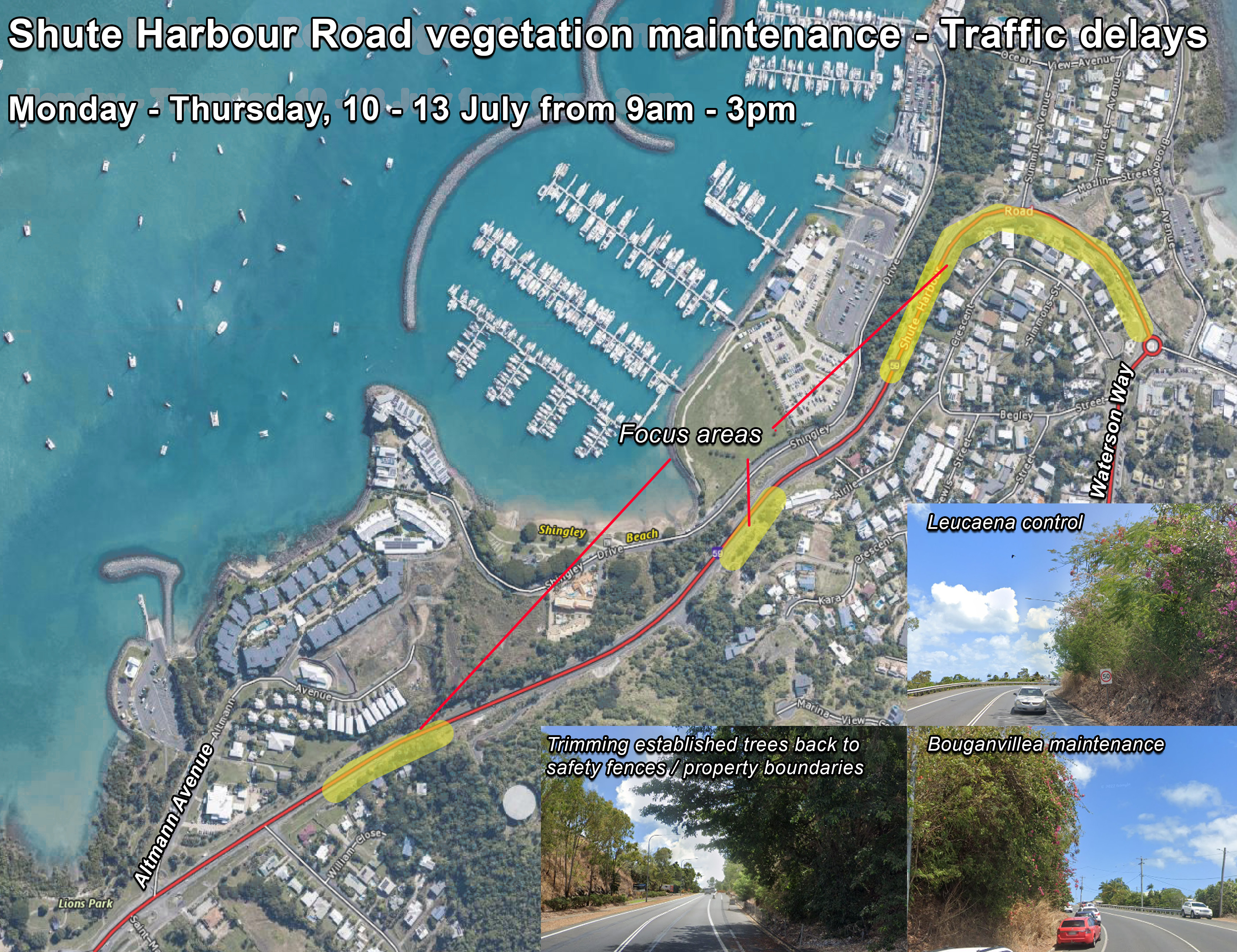 Vegetation management s